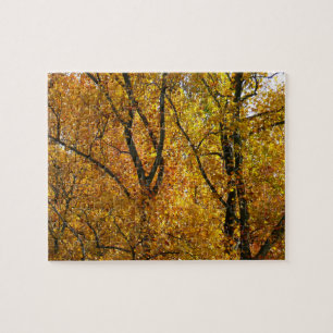 Zweige mit gelben Blättern in strahlendem Herbstla Puzzle