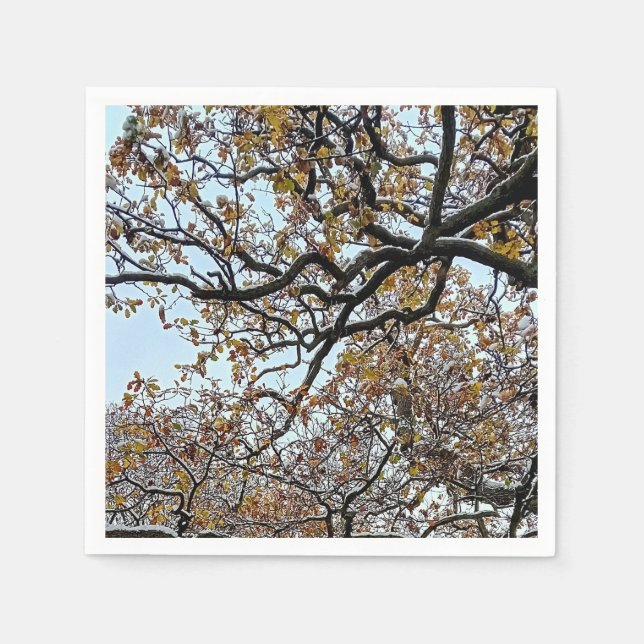 Zweige mit orangefarbenen Blätter und Schnee Serviette (Vorderseite)