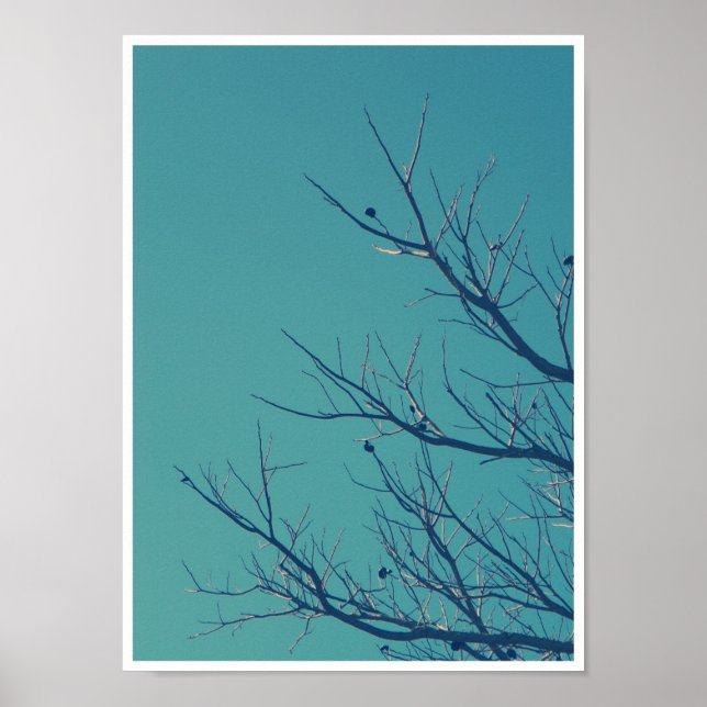 Zweige Poster (Vorne)
