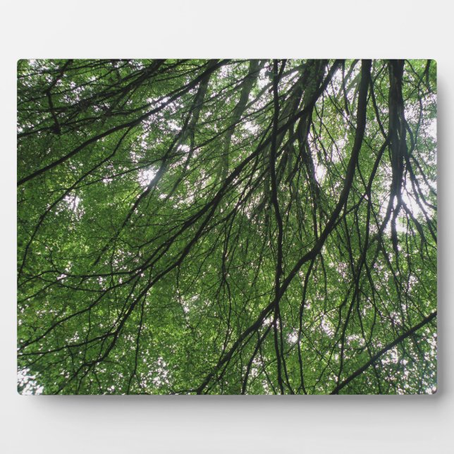 Zweige und Blätter Plaque Fotoplatte (Vorderseite)