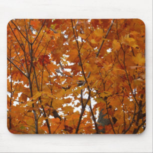 Zweige von Ahornblättern I Orange Herbst Mousepad