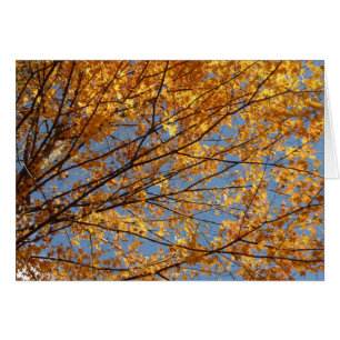 Zweige von Ahornblättern II Orange Herbst
