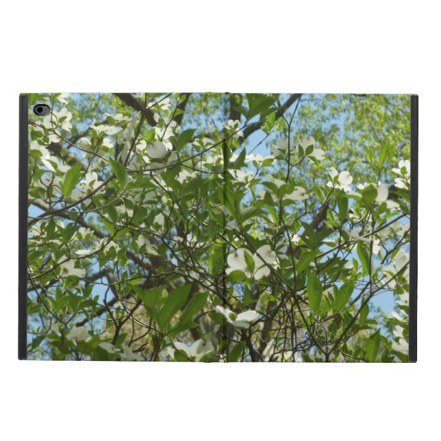 Zweige von Dogwood-Blüten Frühlingsbäume (Außenansicht)