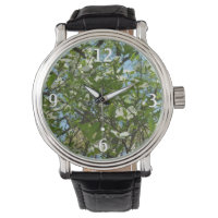Zweige von Dogwood-Blüten Frühlingsbäume