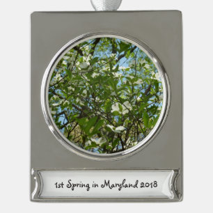 Zweige von Dogwood-Blüten Frühlingsbäume Banner-Ornament Silber