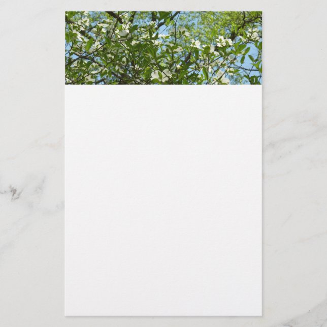 Zweige von Dogwood-Blüten Frühlingsbäume Briefpapier (Vorderseite)