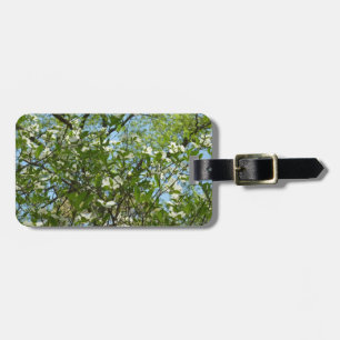 Zweige von Dogwood-Blüten Frühlingsbäume Gepäckanhänger
