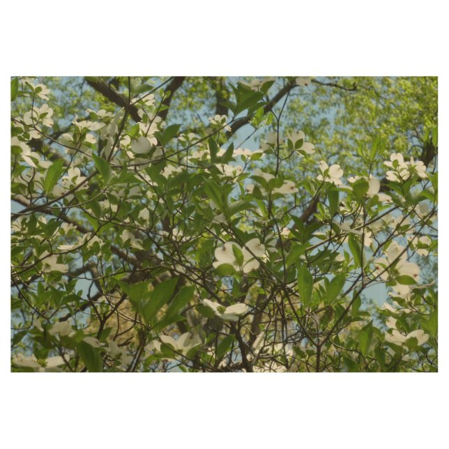 Zweige von Dogwood-Blüten Frühlingsbäume Holzposter (Vorderseite)