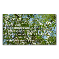 Zweige von Dogwood-Blüten Frühlingsbäume
