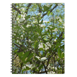 Zweige von Dogwood-Blüten Frühlingsbäume Notizblock