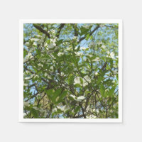 Zweige von Dogwood-Blüten Frühlingsbäume