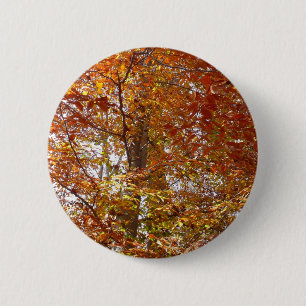 Zweige von orangen Blättern Herbst Natur Button