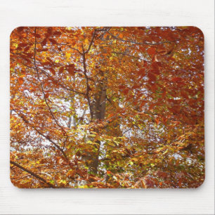 Zweige von orangen Blättern Herbst Natur Mousepad