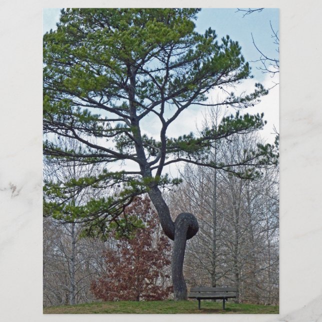 zweigezogener Baum (Vorderseite)