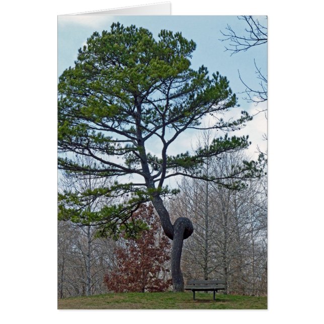 zweigezogener Baum (Vorne)