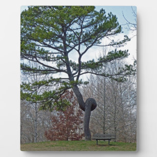 zweigezogener Baum Fotoplatte