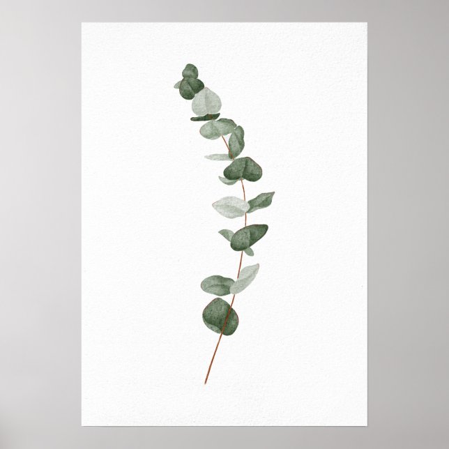 Zweigniederlassung Eukalyptus Poster (Vorne)