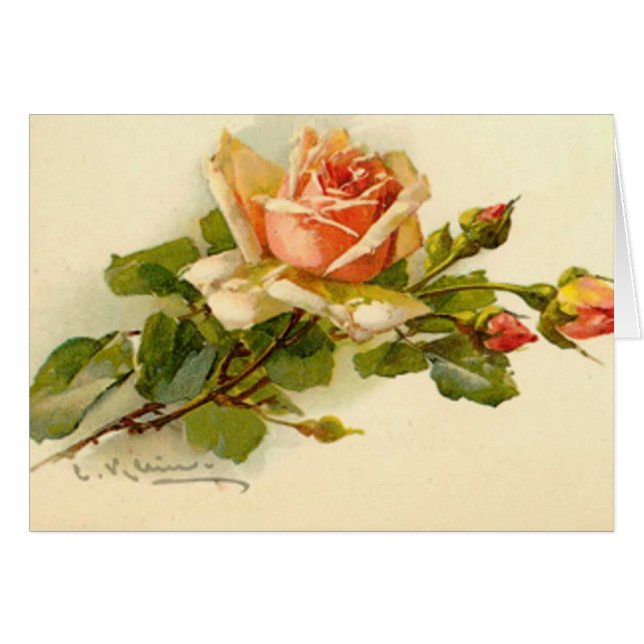 Zweigniederlassung Rose (Vorderseite (Horizontal))
