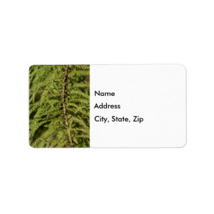 Zweigstelle Bald Cypress Adressaufkleber
