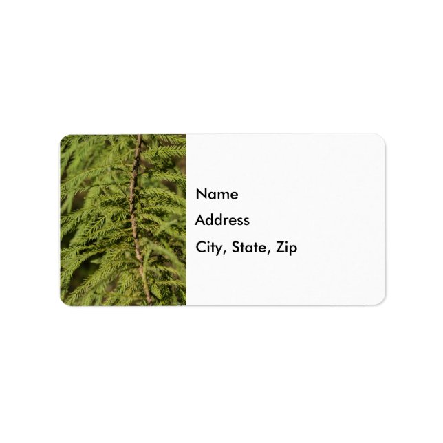 Zweigstelle Bald Cypress Adressaufkleber (Vorne)