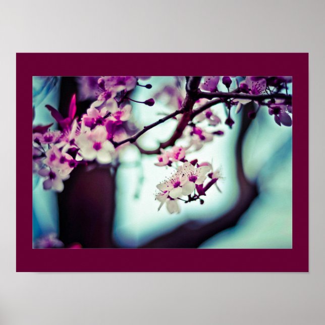Zweigstelle Cherry Blossom Poster (Vorne)