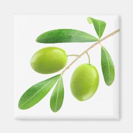 Zweigstelle mit grünen Oliven Magnet