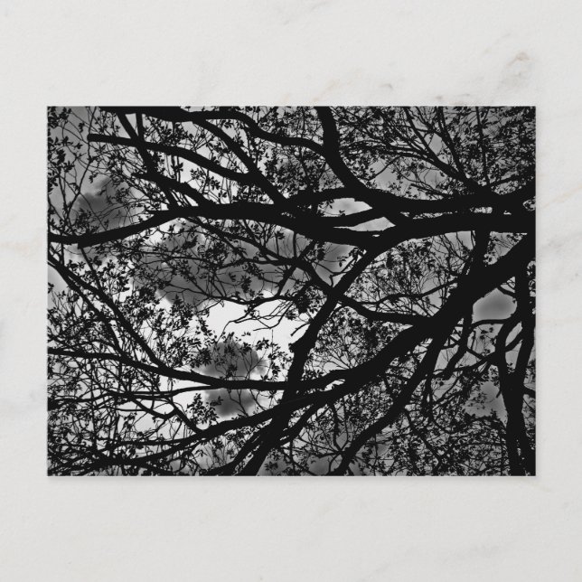 Zweigstellenkarte Postkarte (Vorderseite)