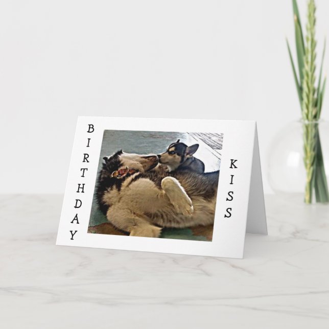 ZWEIMAL GEBURTSTAG KISSES = PUP-FOTOGRAFIE KARTE (Vorderseite)