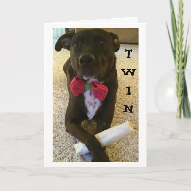 ZWEIMAL GEWOLLT ZU SAGEN GLÜCKLICH GEBURTSTAG UND  KARTE (Vorderseite)