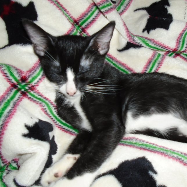 ZWEITE ÄNDERUNGSGUN-Tasse Kaffeetasse (Von Creator hochgeladen)