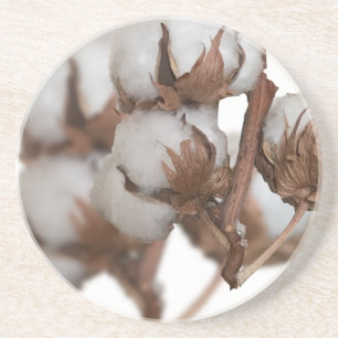 Zweites Jubiläum der Cotton-Pflanze Getränkeuntersetzer