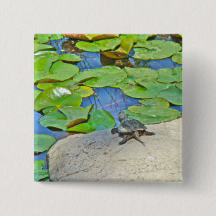 Zwerchschildkröte - Serpentina Chelydra Button