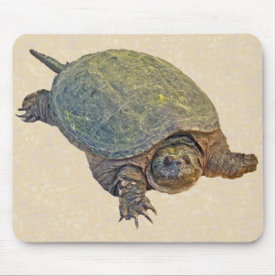 Zwerchschildkröte - Serpentina Chelydra Mousepad
