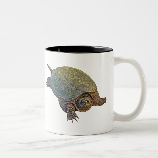 Zwerchschildkröte - Serpentina Chelydra Zweifarbige Tasse (Rechts)