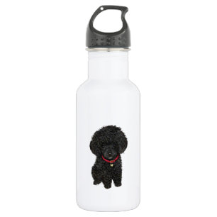 Zwerg- oder Toy-Pudel - Schwarz 1 Trinkflasche