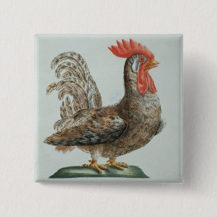 Zwergartiger junger Hahn, c.1767-76 (Hand farbiger Button