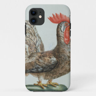 Zwergartiger junger Hahn, c.1767-76 (Hand farbiger Case-Mate iPhone Hülle