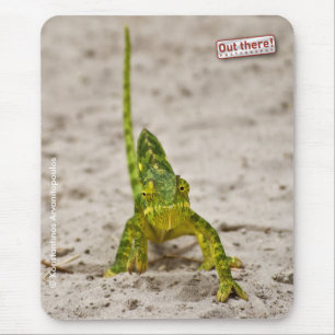 Zwergartiges Chamäleon Mousepad