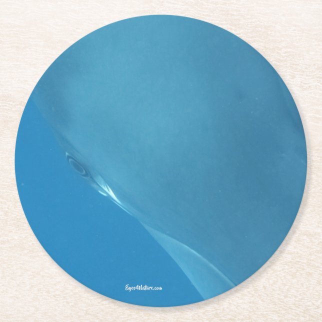 Zwergartiges Minkwal Auge Runder Pappuntersetzer (Vorderseite)