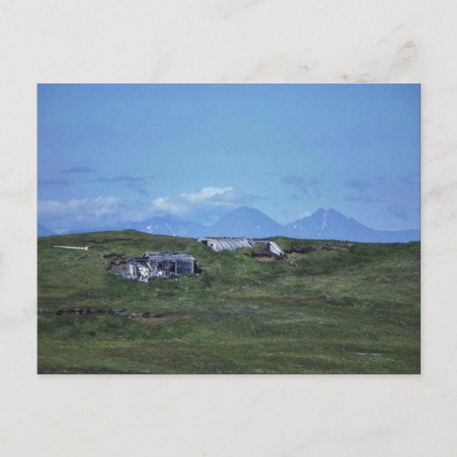 Zwerghütte auf der Insel Amchitka Postkarte (Vorderseite)