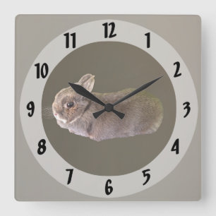 Zwergkaninchen Quadratische Wanduhr