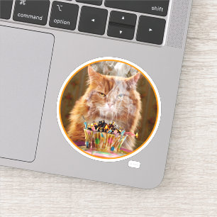 Zwergkatzenkatze mit geschmolzenem Geburtstagskuch Aufkleber
