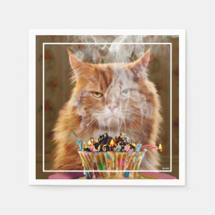 Zwergkatzenkatze mit geschmolzenem Geburtstagskuch Serviette