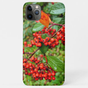 Zwergmilch Case-Mate iPhone Hülle