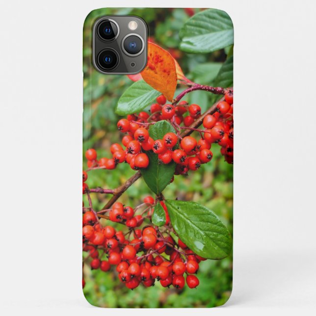 Zwergmilch Case-Mate iPhone Hülle (Rückseite)