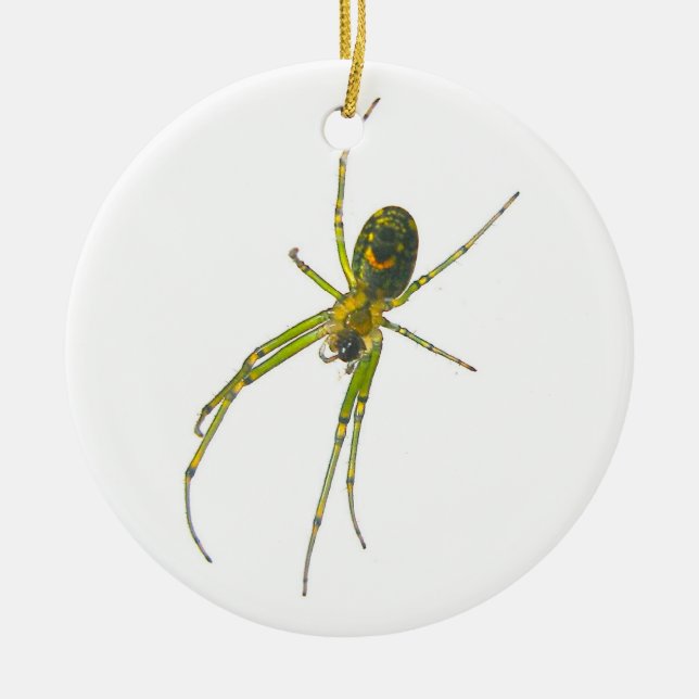 Zwergnathid Spider Weihnachtsdekoration Keramik Ornament (Vorne)