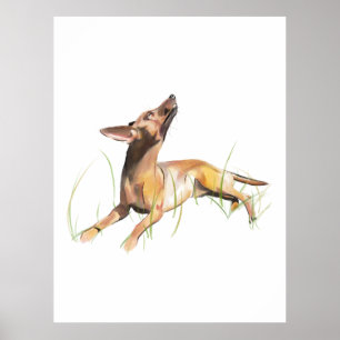 Zwergpinscher Aquarell-Gemälde, Wandkunst Poster