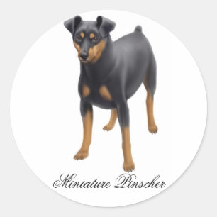 Zwergpinscher-Aufkleber Runder Aufkleber