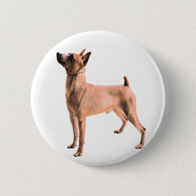 Zwergpinscher Button (Vorderseite)