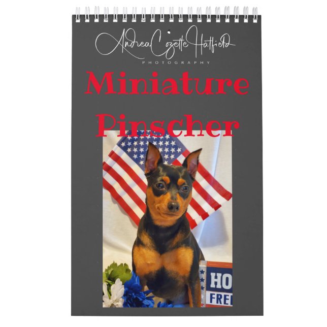 Zwergpinscher  kalender (Titelbild)